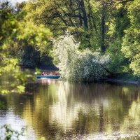 Яблоня над водой. :: Лилия * Яблоня над водой. :: Лилия *