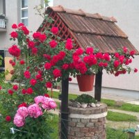 Притягивает взгляд :: Ольга Лебедева (Беловласова)