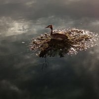 Что-то для меня новенькое :: Андрей Лукьянов