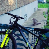 Поехали :: Maria Rainer