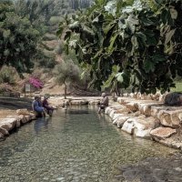 Эйн- рат эксэл(עין יזרעאל) — живописный природный источник, расположенный :: ujgcvbif 