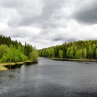 Дикая красота Карелии :: Николай 
