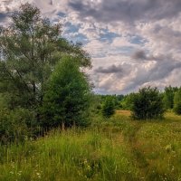 Однажды субботним днем 10. :: Андрей Дворников Однажды субботним днем 10. :: Андрей Дворников