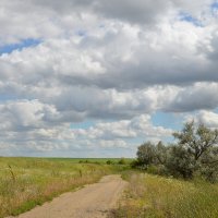 Перед дождём... :: Надежда Куркина Перед дождём... :: Надежда Куркина