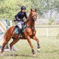 Конкур :: SanSan 