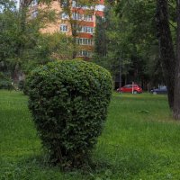 ***** :: юрий поляков ***** :: юрий поляков
