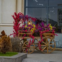 Телега :: Анатолий Чикчирный Телега :: Анатолий Чикчирный