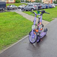 Сладкая парочка :: Валерий Иванович
