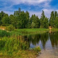 Утром на озере. :: Андрей Дворников