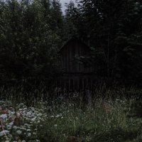 Секреты, которые хранят старые стены в глубине забытого сада. :: Светлана Никитина Секреты, которые хранят старые стены в глубине забытого сада. :: Светлана Никитина