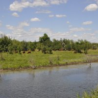 У реки. :: Виктор 
