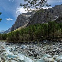 Цейское ущелье. Северная Осетия - Алания. :: Дина Евсеева Цейское ущелье. Северная Осетия - Алания. :: Дина Евсеева