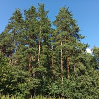 Еще несколько записей из фотодневника :: Андрей Лукьянов
