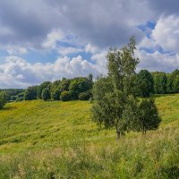 Под небом июля... :: Владимир Жданов Под небом июля... :: Владимир Жданов