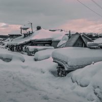 Снег :: SanSan 
