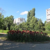 уютный уголок :: Елена Шаламова уютный уголок :: Елена Шаламова