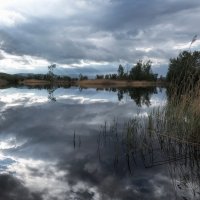 Перед грозой :: Марина Фомина. Перед грозой :: Марина Фомина.