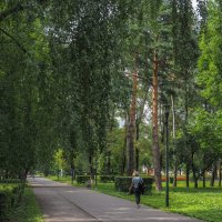 Прогулки в Летнем Парке :: юрий поляков Прогулки в Летнем Парке :: юрий поляков