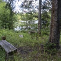 На берегу озера :: Сергей Ц
