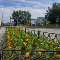 *** :: Дмитрий Костоусов