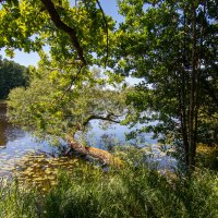 У воды. :: Геннадий Порохов