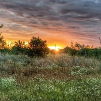 Рассвет :: Мариша Тим