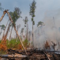 *** :: Игорь В. Капустин