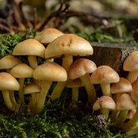 Обсуждение новостей... :: Николай Гирш Обсуждение новостей... :: Николай Гирш