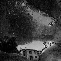 . :: anton laba 