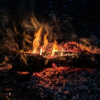Кстёр :: Денис Бочкарёв Кстёр :: Денис Бочкарёв