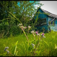 Старый брошенный дом. :: Борис Яковлев