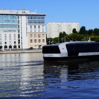Скользящий по водной глади. :: Василий Палий