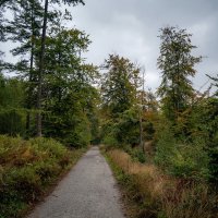 Осенними дорожками... :: Николай Гирш Осенними дорожками... :: Николай Гирш