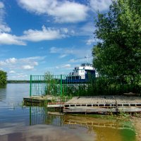 Зашёл в кустики. :: Михаил "Skipper" Зашёл в кустики. :: Михаил "Skipper"