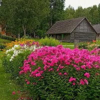 Летняя картинка .. :: Татьян@ Ивановна