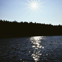 Отражение :: Илья Шенгелия