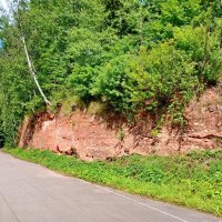 Идёшь по дороге и любуешься чудом природы. :: Лия ☼