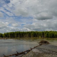 ... :: Жора Житников ... :: Жора Житников