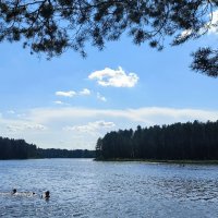 Оредеж. :: Ольга Оредеж. :: Ольга