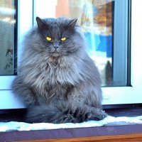 Важный парень. :: Михаил К