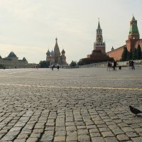 Красная площадь и тот самый голубь-сексот. :: Лютый Дровосек