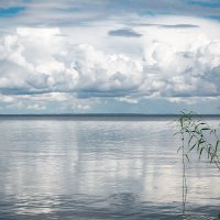 На озере :: Татьяна Панчешная