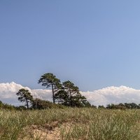 Лиепая :: Аркадий 