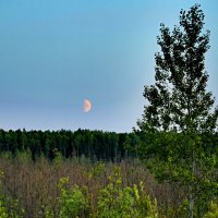 восход луны :: Александр 