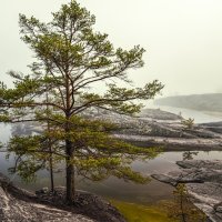Шхерился в тумане. :: Алексей 