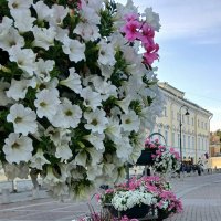 Лето в Питере. Июль :: Наталья Герасимова Лето в Питере. Июль :: Наталья Герасимова