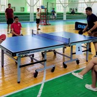 Играем в настольный теннис :: Георгиевич 