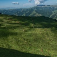 Мы бедные овечки, никто нас не пасёт. :: Лилия .