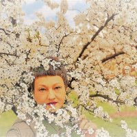 Портрет :: Лана 