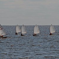 Паруса над водной гладью :: Юлия ЮГ